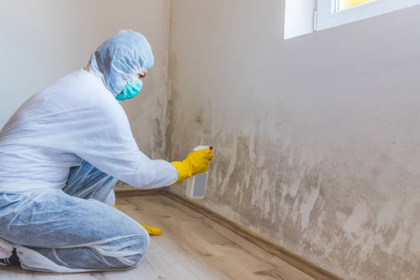 Licensed Bathroom Mold Removal service in Washington, GA - WQB Mold Removal