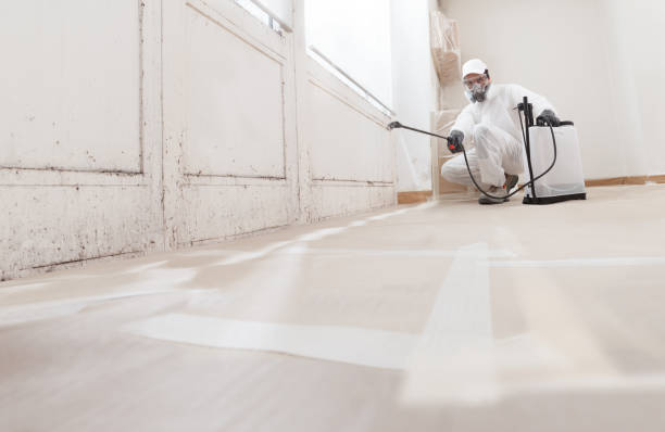 24/7 Emergency Bathroom Mold Removal experts in Washington, GA